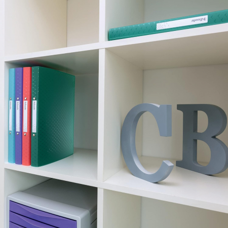 CAIET MECANIC A4 2 INELE 25MM/32MM COPERTA FLEXIBILA ALBASTRU COLOUR'BREEZE ESSELTE [2]