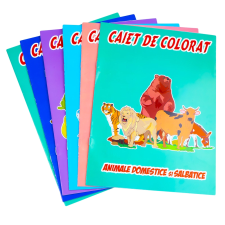 Carti si jocuri pentru copii - Caiet Pentru Colorat A4, 8 file, Katy Paper