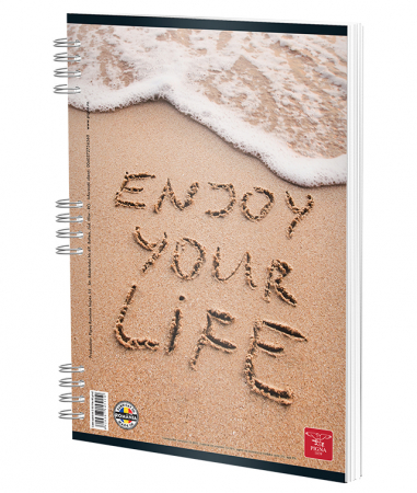 CAIET SPIRA A4 50 FILE DICTANDO COLOR PIGNA [1]