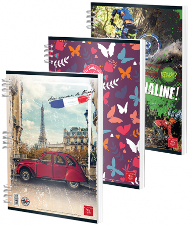 Produse si rechizite scolare - CAIET SPIRA A4 50 FILE DICTANDO COLOR PIGNA