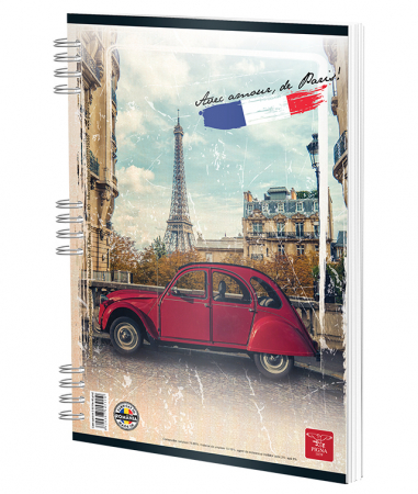 CAIET SPIRA A4 50 FILE DICTANDO COLOR PIGNA [2]