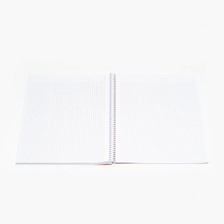 CAIET SPIRA A4 60 FILE ARITMETICA SCHOOL NOTTE [1]