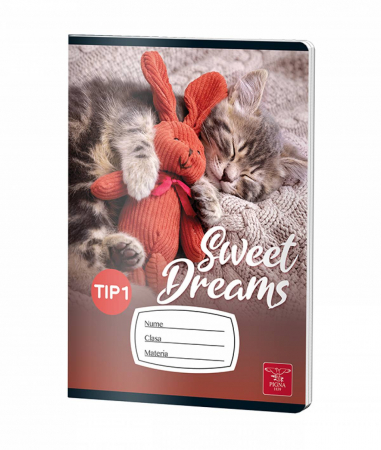CAIET TIP I 24 FILE COLOR PIGNA [1]