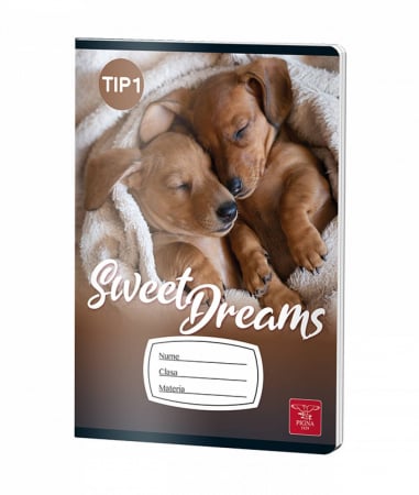 CAIET TIP I 24 FILE COLOR PIGNA [2]