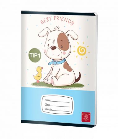 CAIET TIP I 24 FILE COLOR PIGNA [3]
