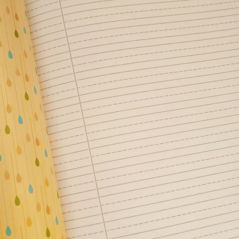 Caiet tip II, A5, 24 file My School [1]