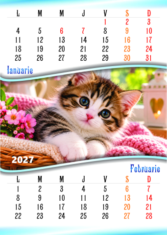 Calendare de perete - Calendar de perete A3 PISICI- 6 file