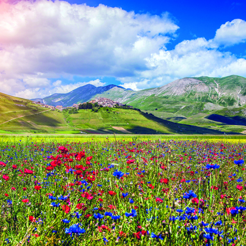 Calendar de perete Landscapes, CT [6]
