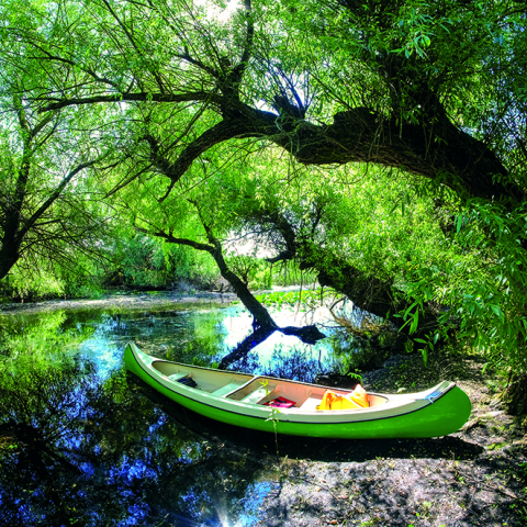 Calendar de perete Romania, CT [8]