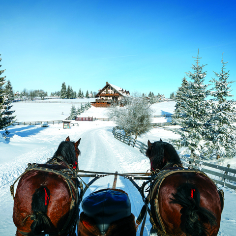 Calendar de perete Romania, CT [3]