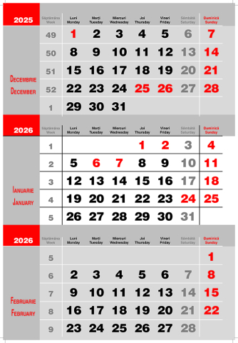 Calendare triptice - Calendar de perete Triptic 2 culori -Gri, CT