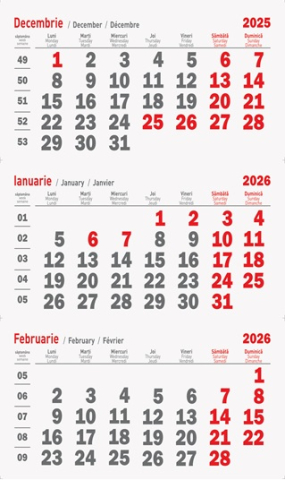 Calendare triptice - Calendar de perete triptic "XL"
