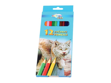 Produse si rechizite scolare - Creioane colorate 12 culori /set - Zoo Centrum 80169