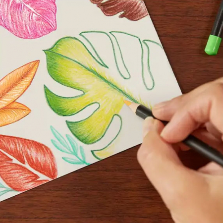 CREIOANE COLORATE 24 CULORI INTENSITY PREMIUM BIC [3]