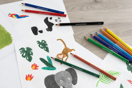 CREIOANE COLORATE PLASTIC JUMBO 10 CULORI EBERHARD FABER [3]