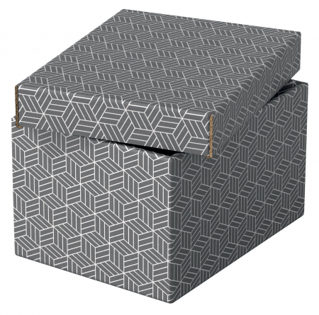 CUTIE DEPOZITARE CU CAPAC 25 x 20 x 15 CM GRI RECICLAT ESSELTE [3]