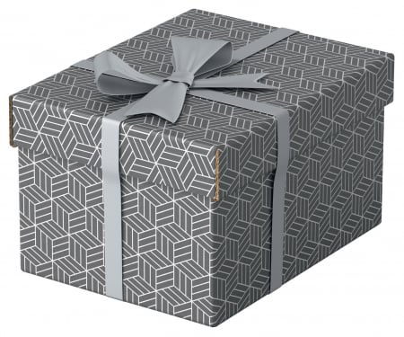 Cutii de arhivare - CUTIE DEPOZITARE CU CAPAC 25 x 20 x 15 CM GRI RECICLAT ESSELTE