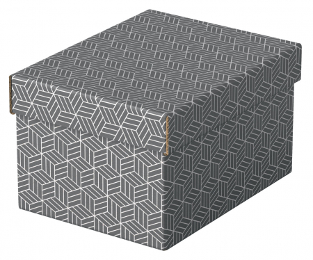 CUTIE DEPOZITARE CU CAPAC 25 x 20 x 15 CM GRI RECICLAT ESSELTE [1]