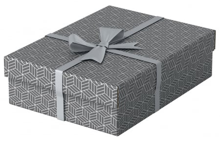 Cutii de arhivare - CUTIE DEPOZITARE CU CAPAC 36 x 26 x 10 CM GRI RECICLAT ESSELTE