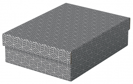 CUTIE DEPOZITARE CU CAPAC 36 x 26 x 10 CM GRI RECICLAT ESSELTE [1]