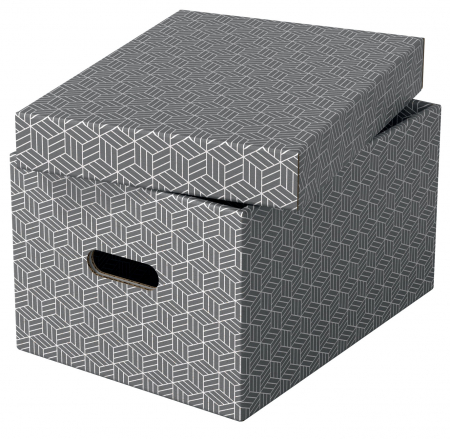 CUTIE DEPOZITARE CU CAPAC 36 x 26 x 20CM GRI RECICLAT FSC 3/SET ESSELTE [3]