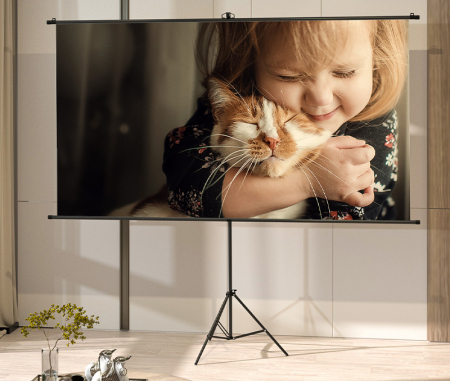ECRAN PROIECTIE 220 x 124.5 CM MANUAL PE TREPIED DELI [3]