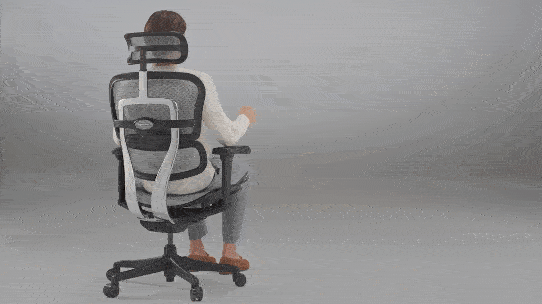 Ergohuman 2 Ultra Black [5]