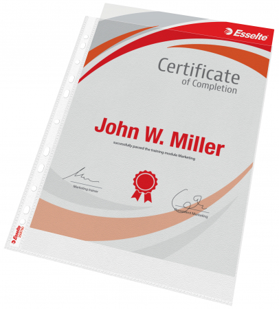 FOLIE PROTECTIE A4 MAXI 25/SET ESSELTE [2]