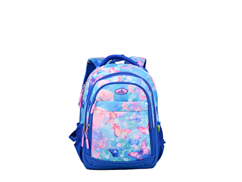 Produse si rechizite scolare - GHIOZDAN 614003 ECADA 41CM