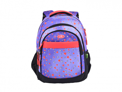 Produse si rechizite scolare - GHIOZDAN 61433 ECADA 46CM