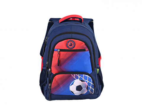Produse si rechizite scolare - GHIOZDAN 61492 ECADA 46CM
