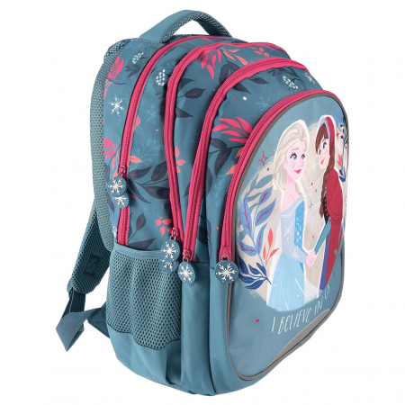 GHIOZDAN CLASELE I-IV FROZEN ABASTRU PAL PIGNA [1]