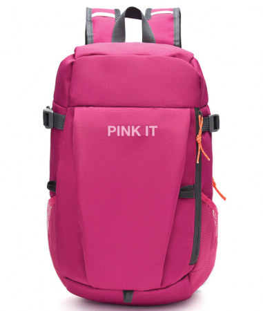 Produse si rechizite scolare - GHIOZDAN GIMNAZIU PINK IT 2 FERMOARE PIGNA