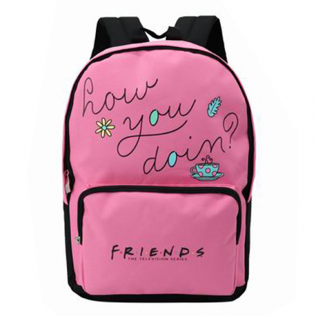 Produse si rechizite scolare - GHIOZDAN GIMNAZIU TEENS FRIENDS ROZ 2 FERMOARE PIGNA