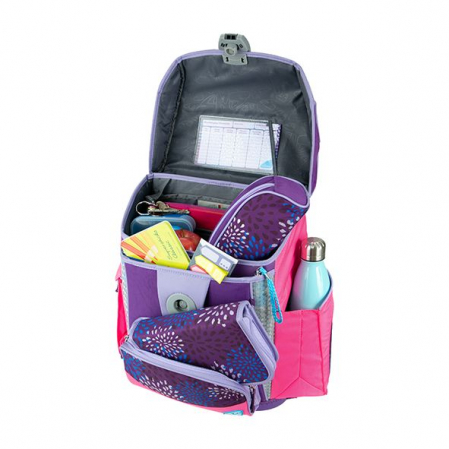 GHIOZDAN SPRINKLE PLUS VIOLET+ETUI,SAC SPORT,STICKERE,CUT. CARTI [3]