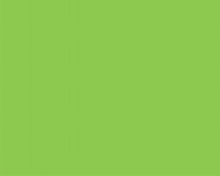 HARTIE COPIATOR A4 VERDE INTENS 80G 500/TOP MA42 NIVEUS [1]