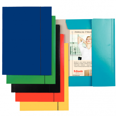 MAPA CARTON CU ELASTIC ALBASTRU DESCHIS ECONOMY ESSELTE [1]
