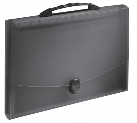 Organizare si arhivare - MAPA PLASTIC 12 COMPARTIMENTE CU MANER NEAGRA VIVIDA ESSELTE