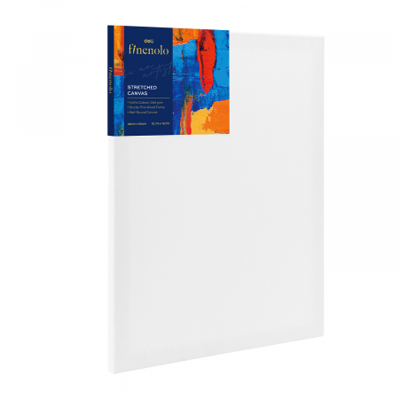 Produse si rechizite scolare - PANZA PENTRU PICTURA PE SASIU 40*50CM DELI
