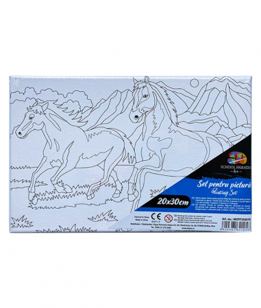 Produse si rechizite scolare - PANZA PREDESENATA PE SASIU 20*30CM CAI SF ART PIGNA