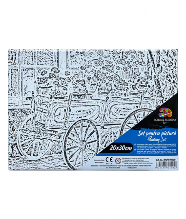 Produse si rechizite scolare - PANZA PREDESENATA PE SASIU 20*30CM FLORI 2 SF ART PIGNA