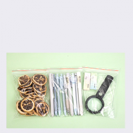 PUNGI CU INCHIDERE ZIP 160*120MM 100/SET [3]