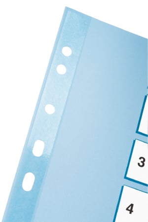 SEPARATOARE INDEX CARTON 1-10 MYLAR ESSELTE [1]