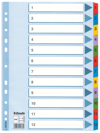 Organizare si arhivare - SEPARATOARE INDEX CARTON 1-12 MYLAR ESSELTE
