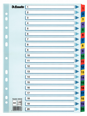 Organizare si arhivare - SEPARATOARE INDEX CARTON 1-20 MYLAR ESSELTE