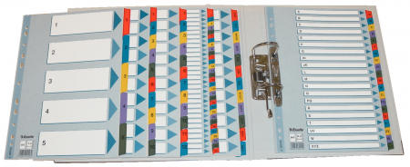 SEPARATOARE INDEX CARTON IAN-DEC MYLAR ESSELTE [1]