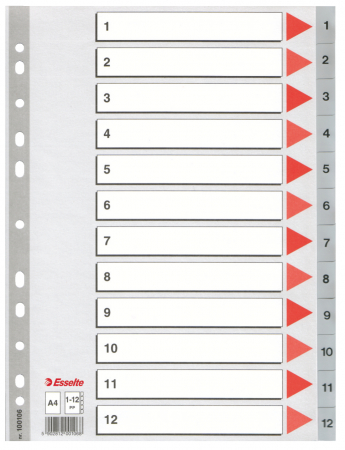 Organizare si arhivare - SEPARATOARE INDEX PLASTIC 1-12 ESSELTE
