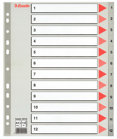 Organizare si arhivare - SEPARATOARE INDEX PLASTIC 1-12 MAXI ESSELTE