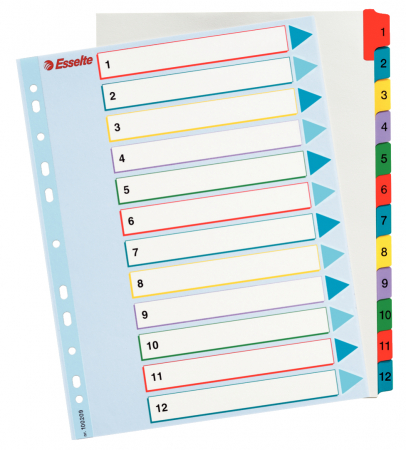 Organizare si arhivare - SEPARATOARE INDEX PLASTIC 1-12 REINSCRIPTIBIL ESSELTE