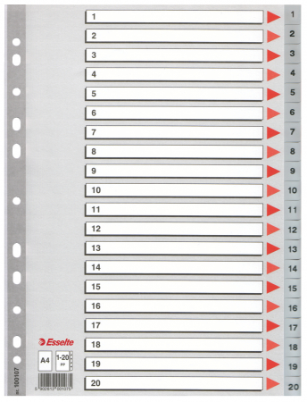 Organizare si arhivare - SEPARATOARE INDEX PLASTIC 1-20 ESSELTE